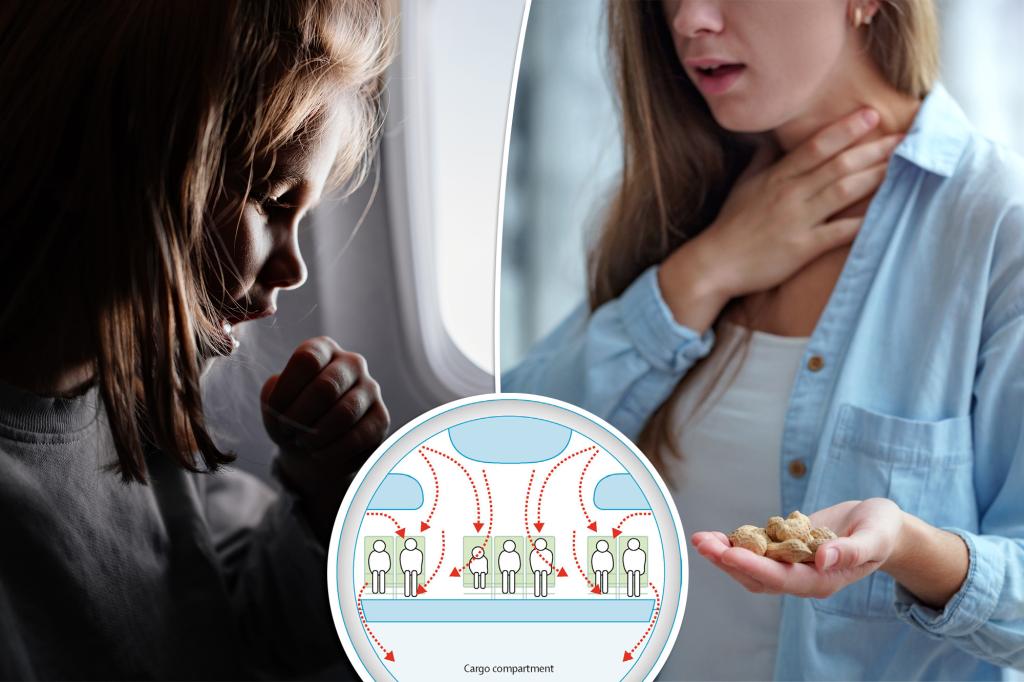 Nut allergens cannot spread through aircraft ventilation systems: study